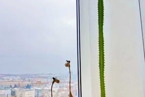 Апарт-отель Мост Сити Апарт Отель. Люкс двухместный Просторные апартаменты Носорог с 1 спальней + 2 детей за дополнительную стоимость 8