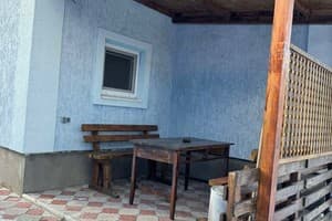 Подорожник 9