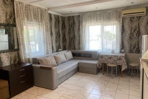 Подорожник 12