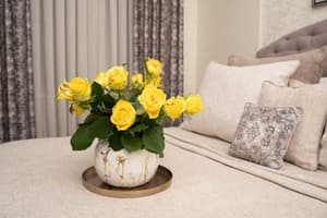 Отель Шляпа. Люкс двухместный  2